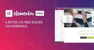 Elementor Pro